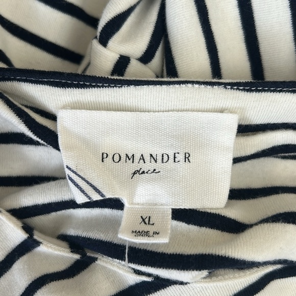 Pomander Place Tuckernuck Bowman Gold Button Long Sleeve Shirt Navy Stripe Sz XL - Picture 11 of 12